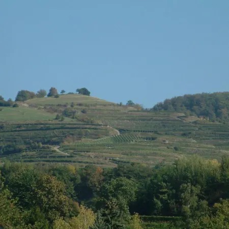 Atelier-hof-ferienwohnungen * Vogtsburg