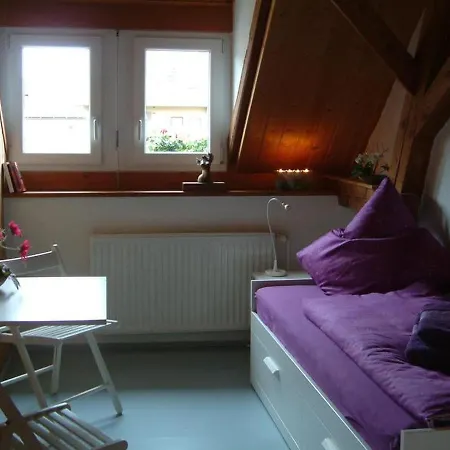 Atelier-hof-ferienwohnungen Appartamento Vogtsburg